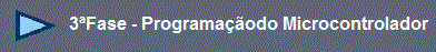 3º Fase (Programação do Microcontolador)